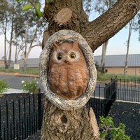 Design Toscano Octavius Knothole Owl Tree Statue & Reviews | Wayfair